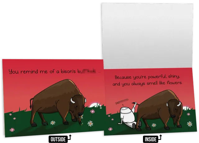 Exploding Kittens Bison biglietto amicizia NSFW