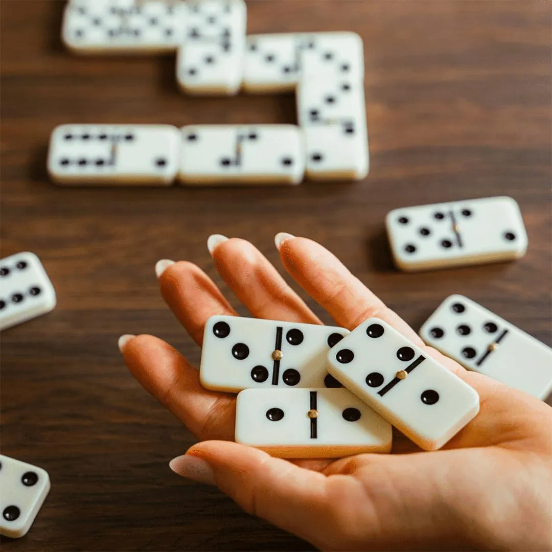 Dal Negro Domino Classico 28 Tessere 1-4 Giocatori