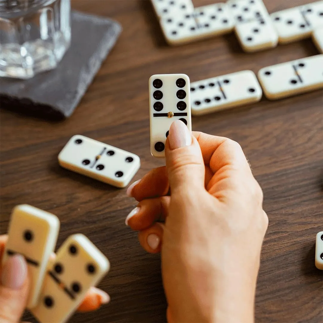 Dal Negro Domino Classico 28 Tessere 1-4 Giocatori